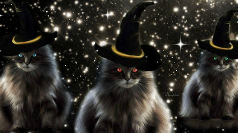 Meowgical Showdown: Clash Kitties Square Off against Witchy Cats